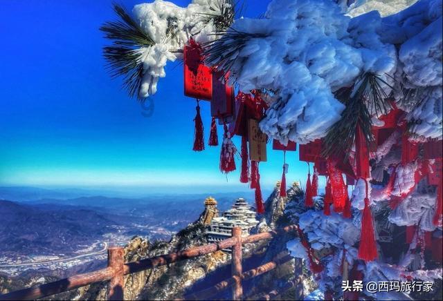女排最新主攻榜揭晓，天才少女傲视群雄，小钢炮异军突起反超仲慧